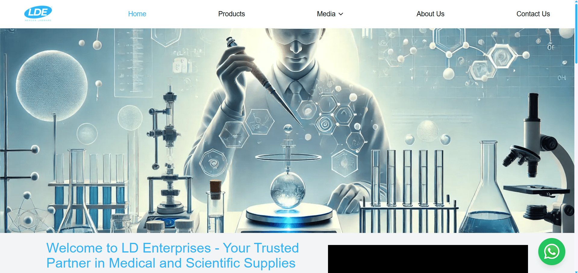 LD Enterprises Website
